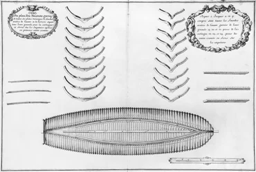 Plan d